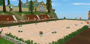 A special Dressage ring set up in the outdoor Arena