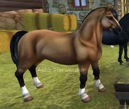 Gniada (generacja 2)