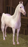 Marwaricremello.png (639 KB) Cremello