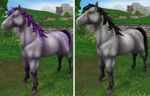 Purple and Grey to Grey