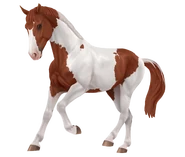 Kasztanowata tobiano (generacja 3)