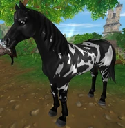 Karosrokata (generacja 2) (niedostępna)