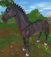 DuńskiSkary.png (812 KB) Skarogniada (niedostępna)