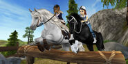 New model Arabian (right) and Friesian Sport Horse (left) advertising Star Rider offer