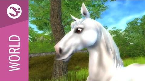 Star Stable World - Selle Français