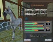 The Andalusian as it appears in Star Stable
