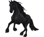 Kara z bridcatcher spots (generacja 3)