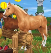 Izabelowata (generacja 3)