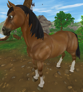 Jasnogniada (generacja 1.5) (niedostępna)