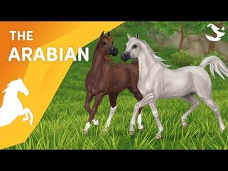 Meet the UPDATED Arabians! 😍🐎⚡ - Star Stable Breeds