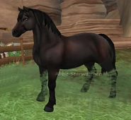 Ciemnogniada (generacja 2)