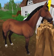 Gniada (3 generacja)