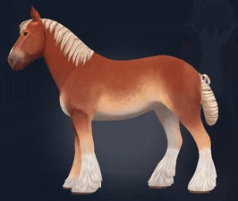 Default mane with rolled tail bun