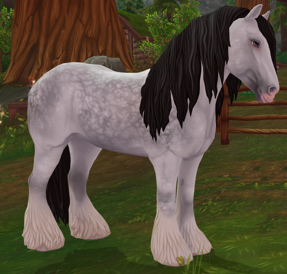 Shay | Jorvikipedia | Fandom