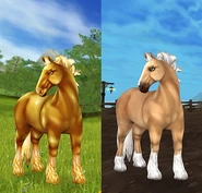 Whinfell/Izabelowata (niedostępna)