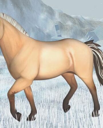 Fjord Jorvikipedia Fandom Star stable is a horse game online filled with adventures. fjord jorvikipedia fandom