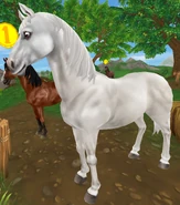 Siwa (generacja 1.5) (niedostępna)