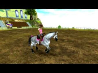 Star Stable Datenbank Make Up