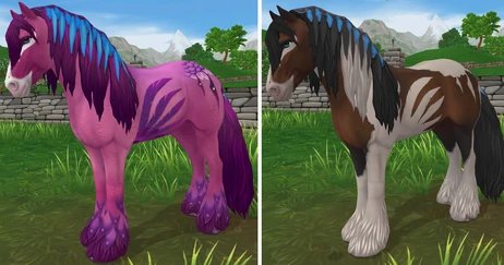 Pink and Purple Feathers to Bay Pinto