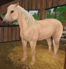 Palomino