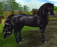 Kara (ciemniejsza, generacja 2)