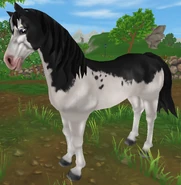 Kara splash (generacja 2) (niedostępna)