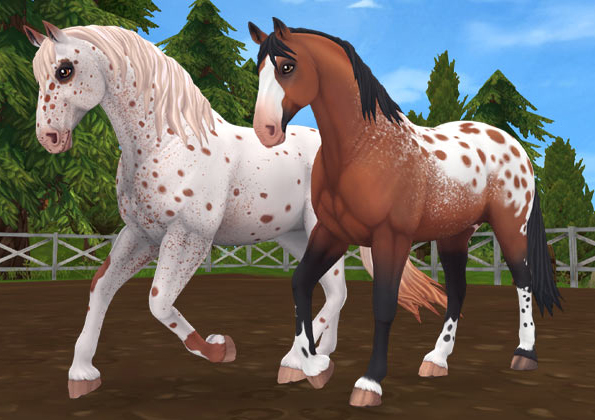 45++ Star stable appaloosa 2020 info