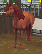 Koń andaluzyjski - kasztanowata.png (151 KB) Kasztanowata (generacja 3)
