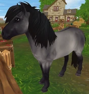 Myszata (3 generacja)