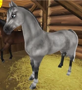 Siwa jabłkowita (generacja 2)