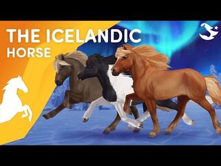 Meet the UPDATED Icelandic! 😍🐴✨- Star Stable Horses