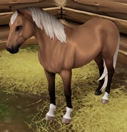 Gniada srebrna (generacja 3)