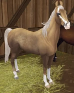 Okopconaizabelowata.png (1,41 MB) Izabelowata okopcona