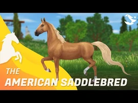 American_Saddlebred_✨_-_Star_Stable_Horses