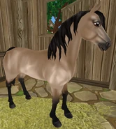 Jelenia (generacja 2)