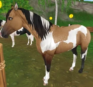 Jelenia overo (generacja 3)