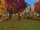 Jasper's Pumpkin Farm
