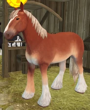 Flaxen Chestnut Pangaré