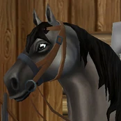 Snaffle Bridle (Original)