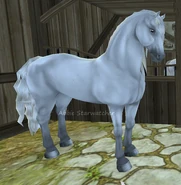 Siwa (generacja 2) (niedostępna)