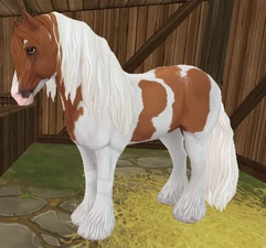 Chestnut Pinto (Gen 3)