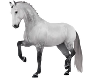 Siwa jabłkowita (generacja 3)