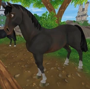 Skarogniada (1.5 generacja) (niedostępna)