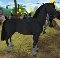 Black Liver Chestnut