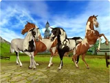 American Paint Horse/Other Appearances