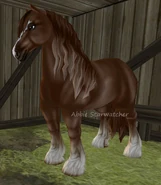 Kasztanowata (generacja 2)