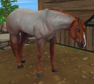 The Red Roan Coat (Gen 3)