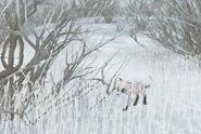 A Snowfox seen in the Valley of Frozen Mist