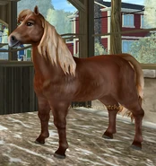 Kasztanowata z konopiastą grzywą i ogonem (2 generacja)