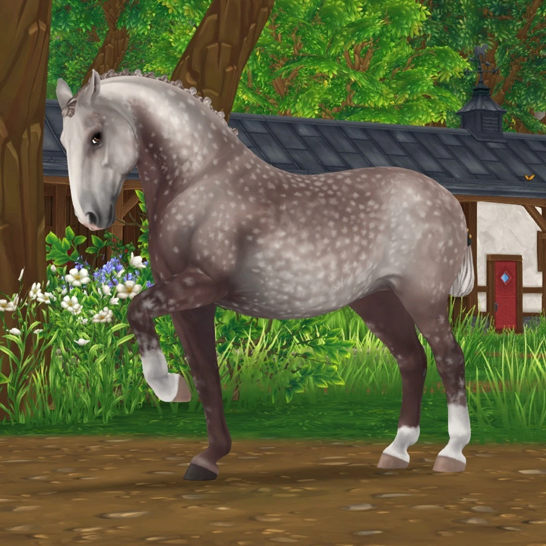 PIATNIK製 トランプ リピッツァナー(軽種馬) Lipizzaner I PIATNIK製 トランプ リピッツァナー(軽種馬) Lipizzaner I